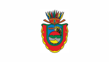 Guerrero flag