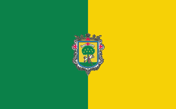 Zapopan flag