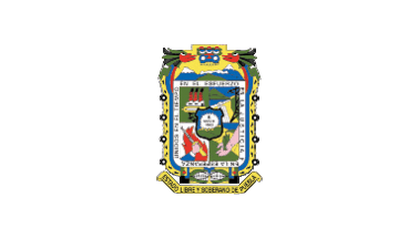 Puebla flag