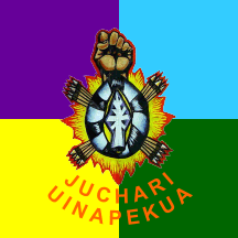 Flag of the Purepecha people